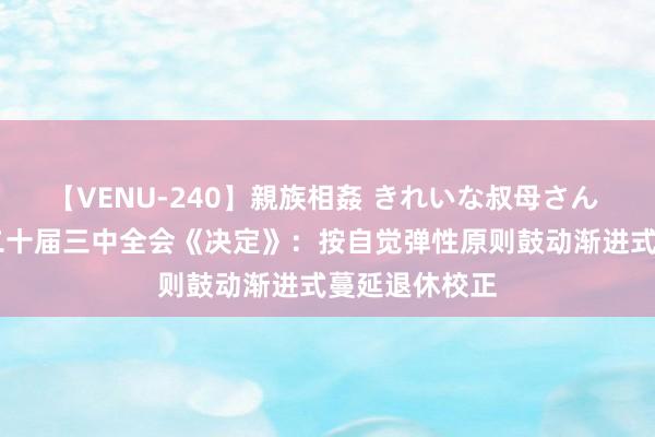 【VENU-240】親族相姦 きれいな叔母さん 高梨あゆみ 二十届三中全会《决定》:按自觉弹性原则鼓动渐进式蔓延退休校正